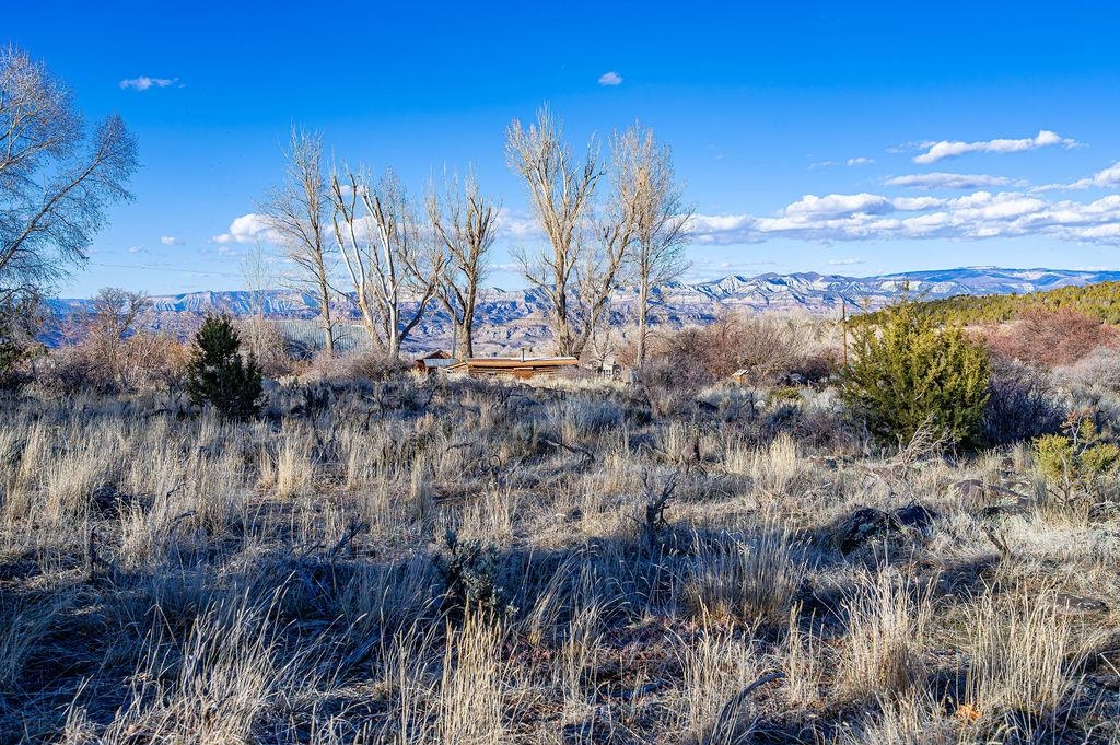 49131 I E Road Mesa, CO 81643 - Photo 10 of 30