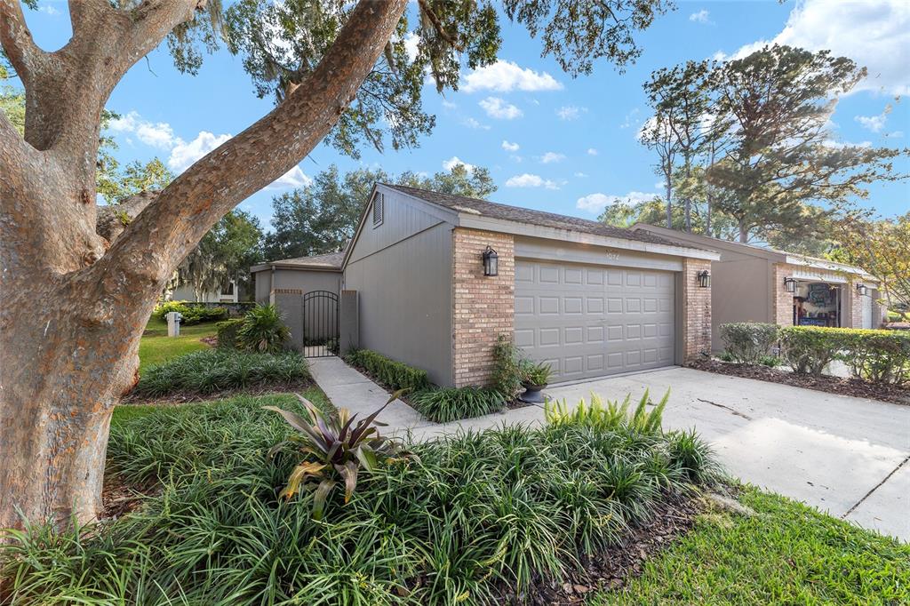 a backyard of a house with plants and trees