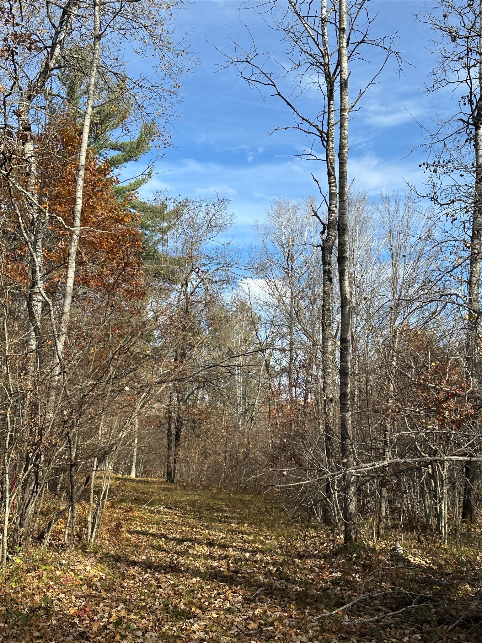 Xx Shore Drive Springbrook, WI 54875 - Photo 7 of 12
