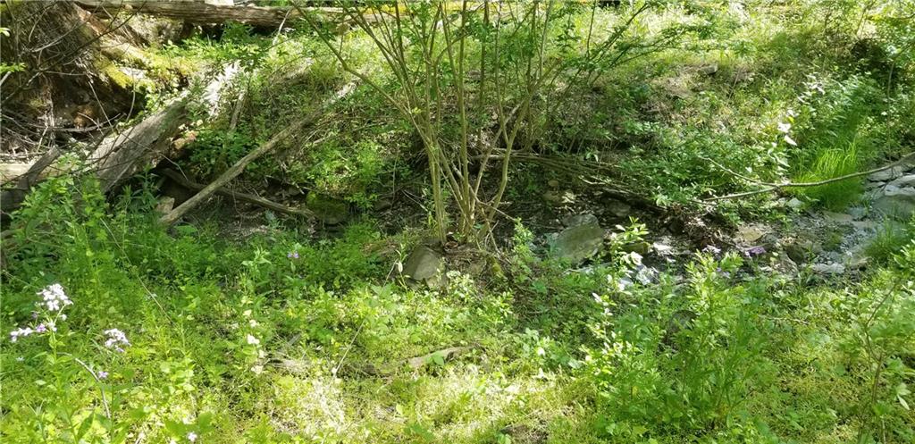 72 Locust Street Coalport, PA 16627 - Photo 4 of 7 a view of a lush green forest