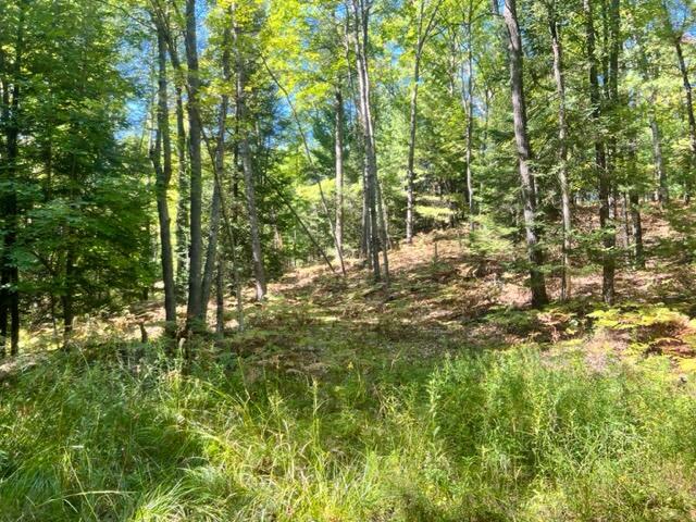 3675 Nasser (120 Acres) Road Fairview, MI 48621 - Photo 61 of 76 Gallery Image 61