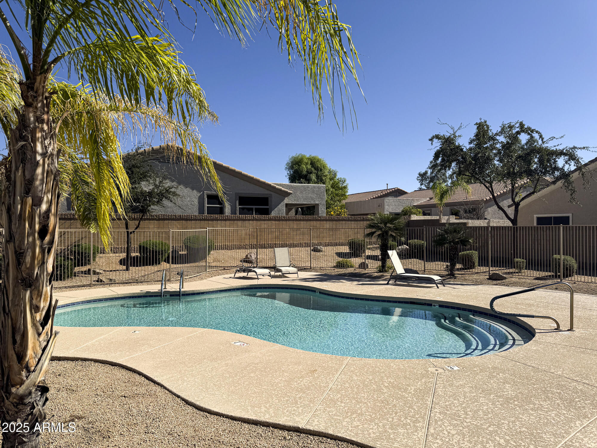 6646 East Rochelle Circle Mesa, AZ 85215 - Photo 41 of 43 a view of a swimming pool with lawn chairs under an umbrella