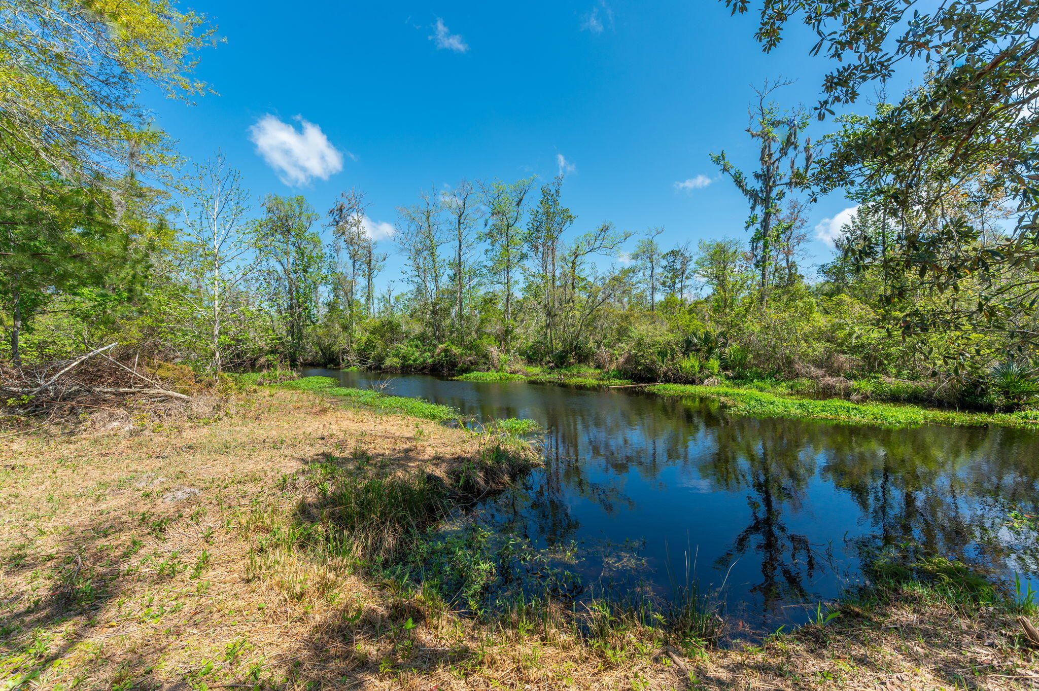 356 Stillwater Road Freeport, FL 32439 - Photo 7 of 52 1-web-or-mls-356-stillwater-rd