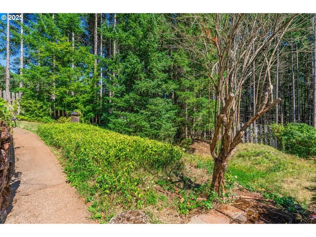 a view of a yard with plants and a bench