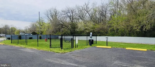 a view of a park with lounge chairs