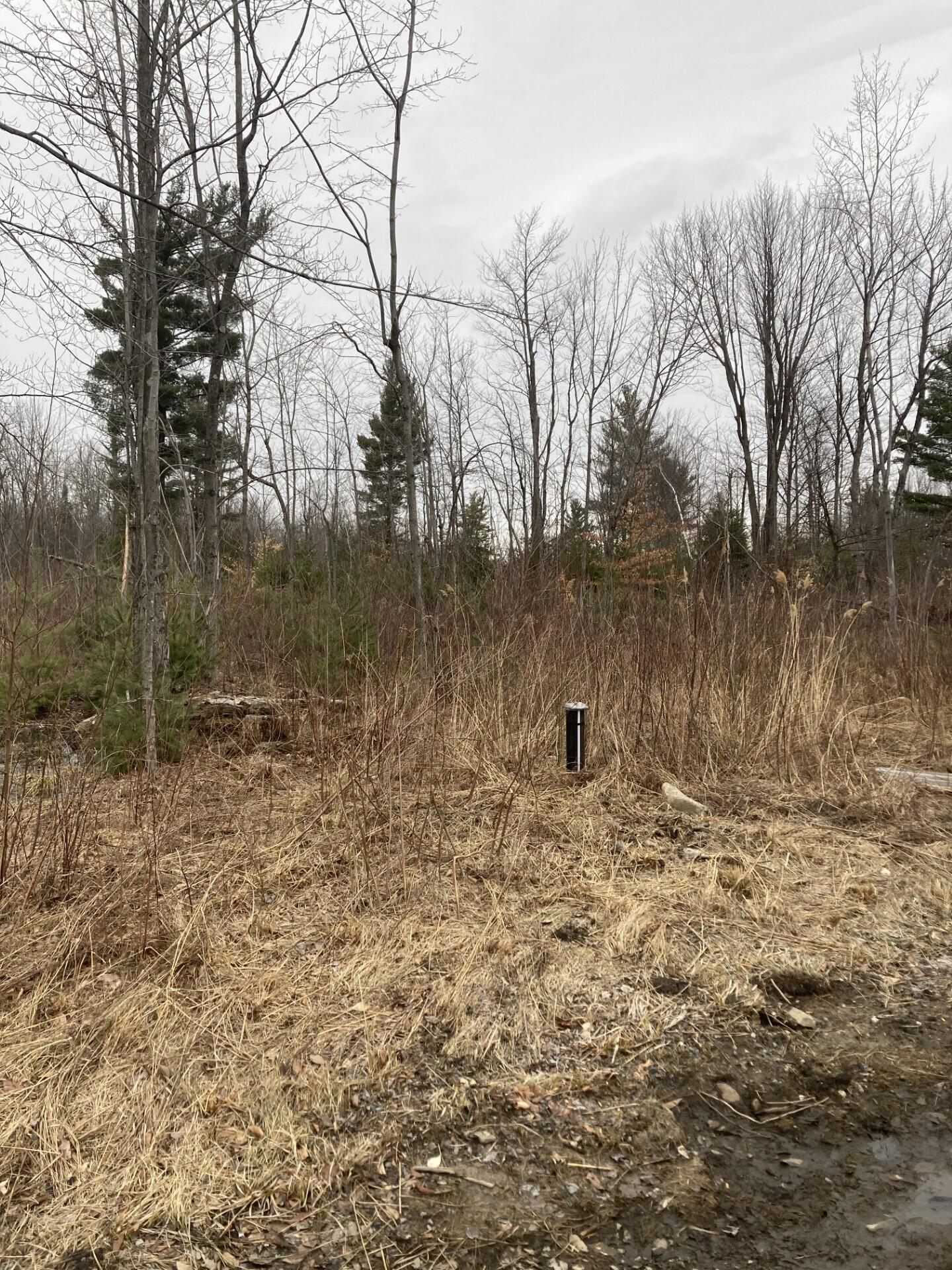 361 O O Connell Road Moira, NY 12957 - Photo 2 of 11 Land