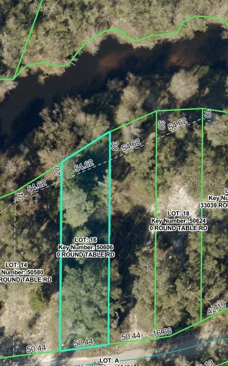 0 Round Table Road Dade City, FL 33523 - Photo 2 of 12 Gallery Image 2