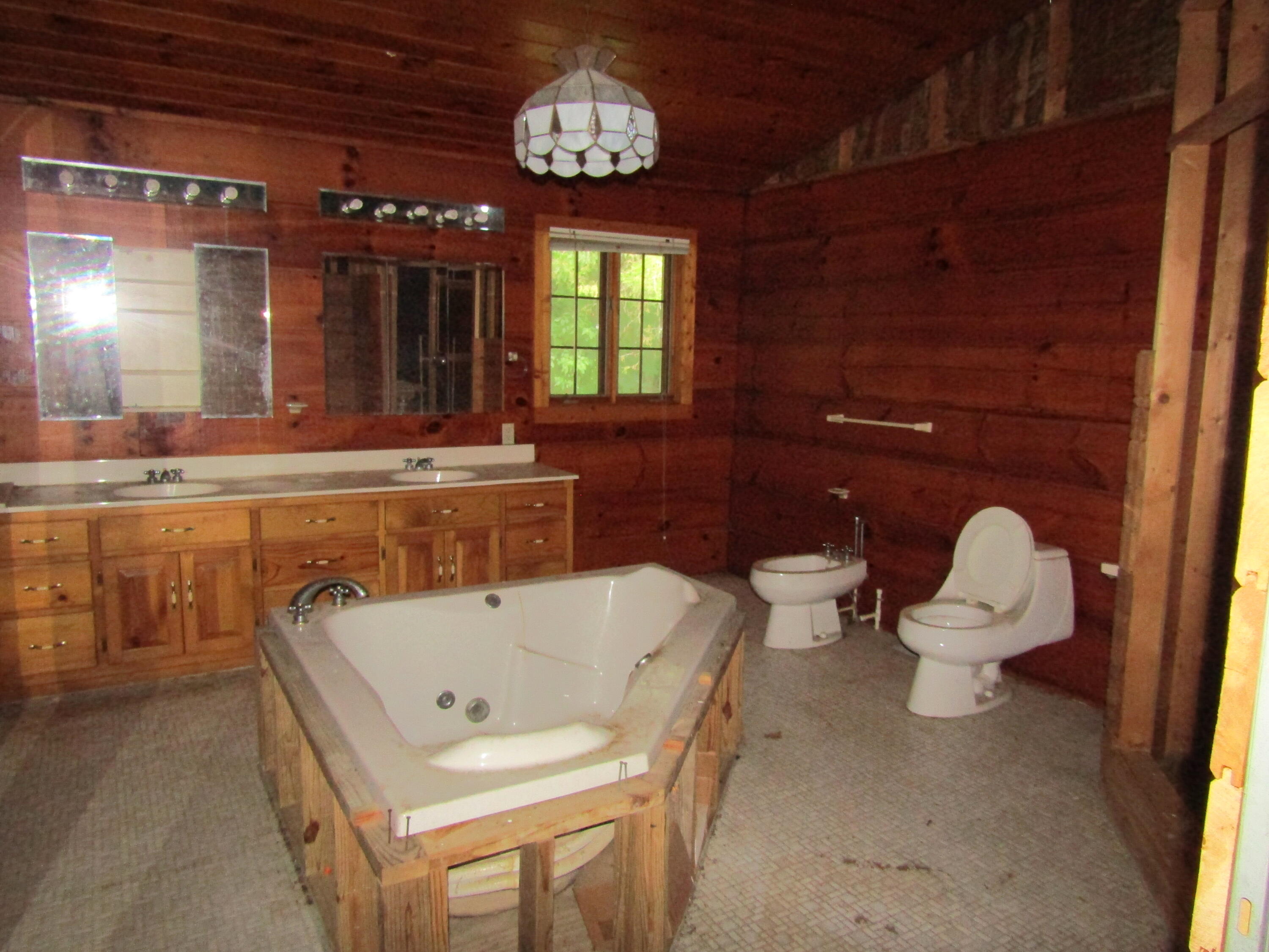 1322 Palmer Hollow Road Bybee, TN 37713 - Photo 15 of 23 2022-06-20 14.19.02
