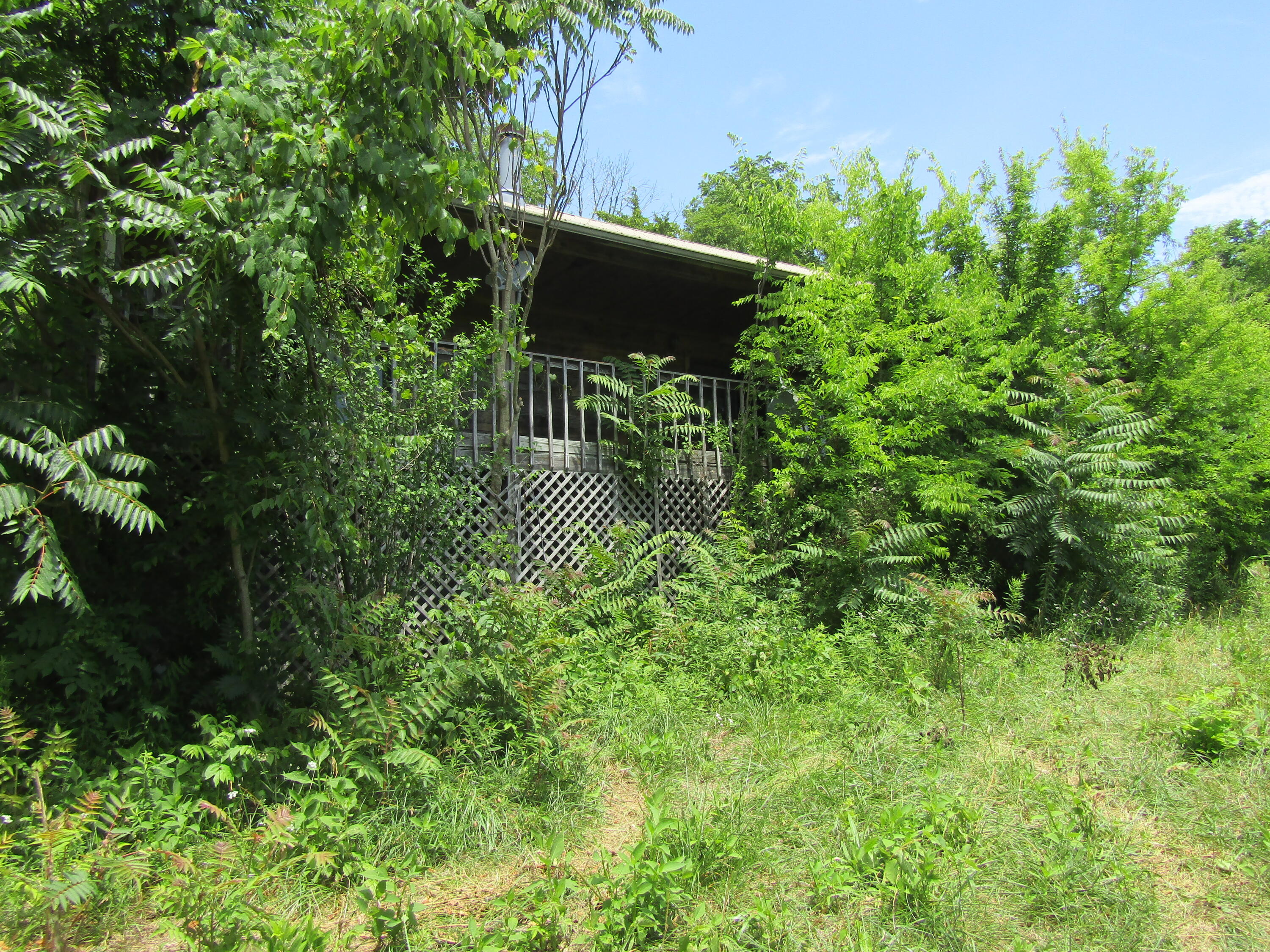 1322 Palmer Hollow Road Bybee, TN 37713 - Photo 2 of 23 2022-06-20 14.29.12