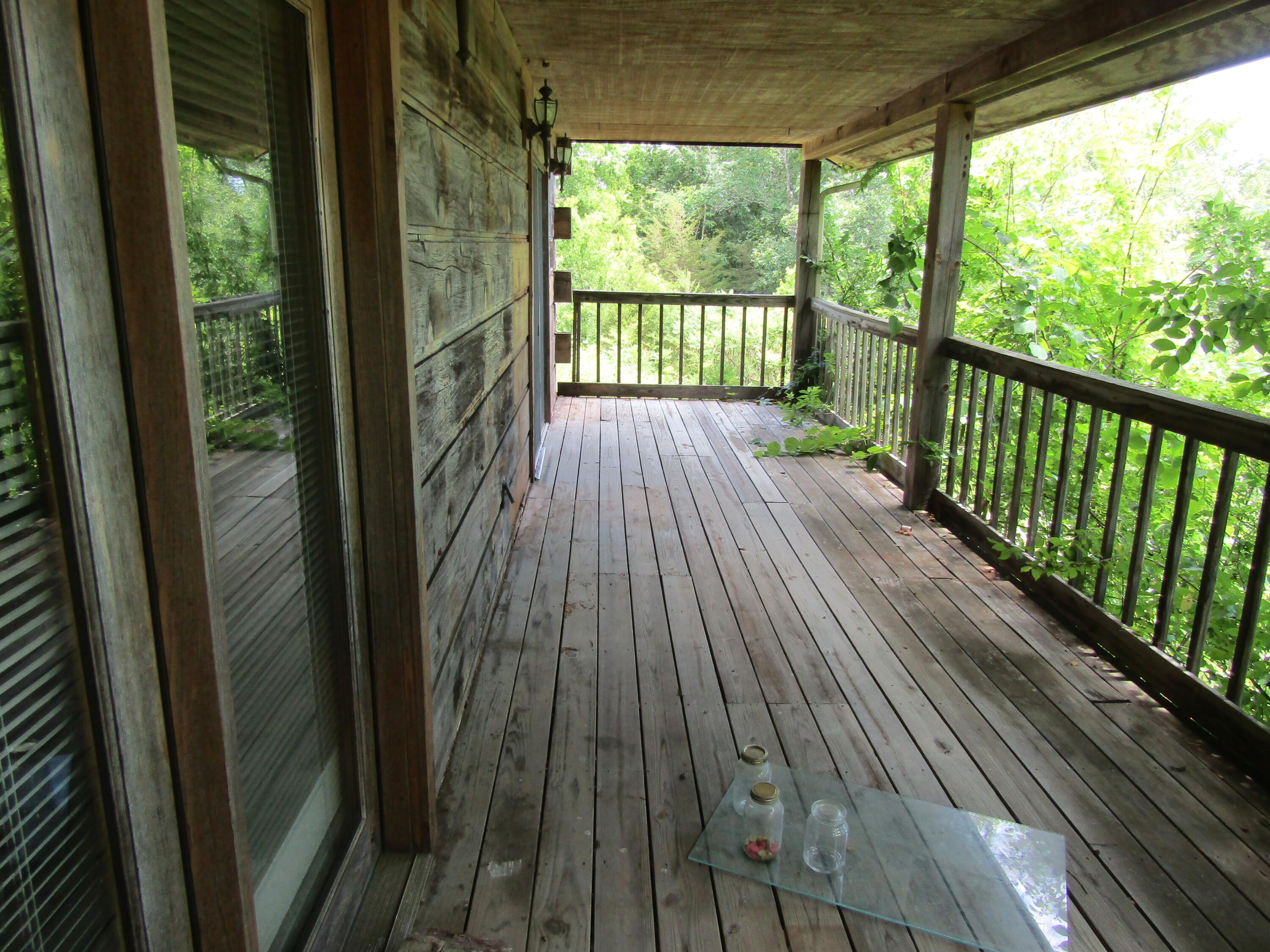 1322 Palmer Hollow Road Bybee, TN 37713 - Photo 3 of 23 2022-06-20 14.19.42