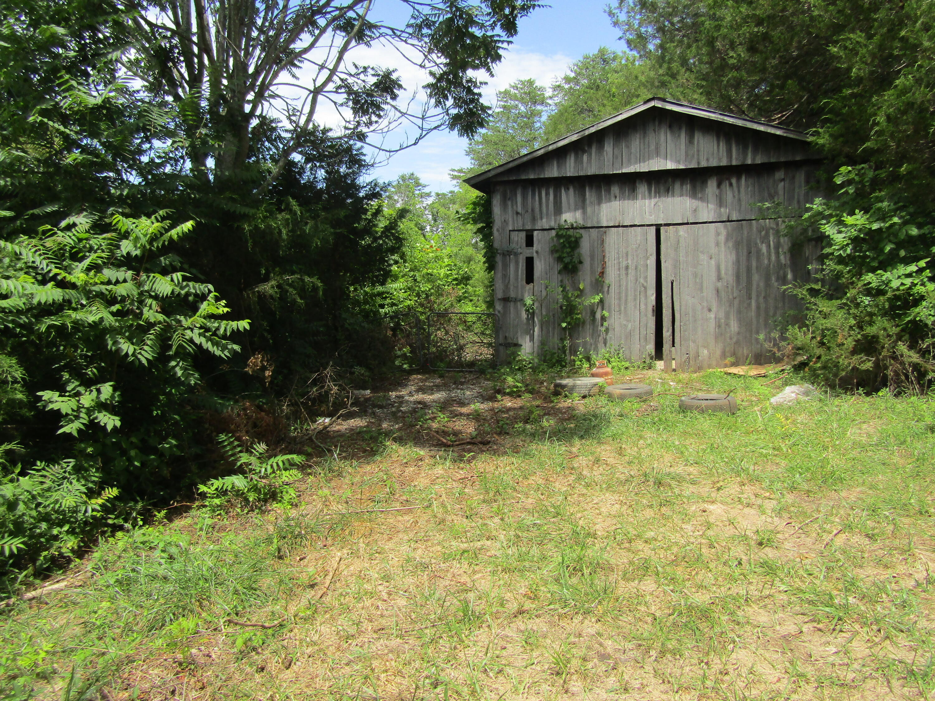 1322 Palmer Hollow Road Bybee, TN 37713 - Photo 8 of 23 2022-06-20 14.22.45