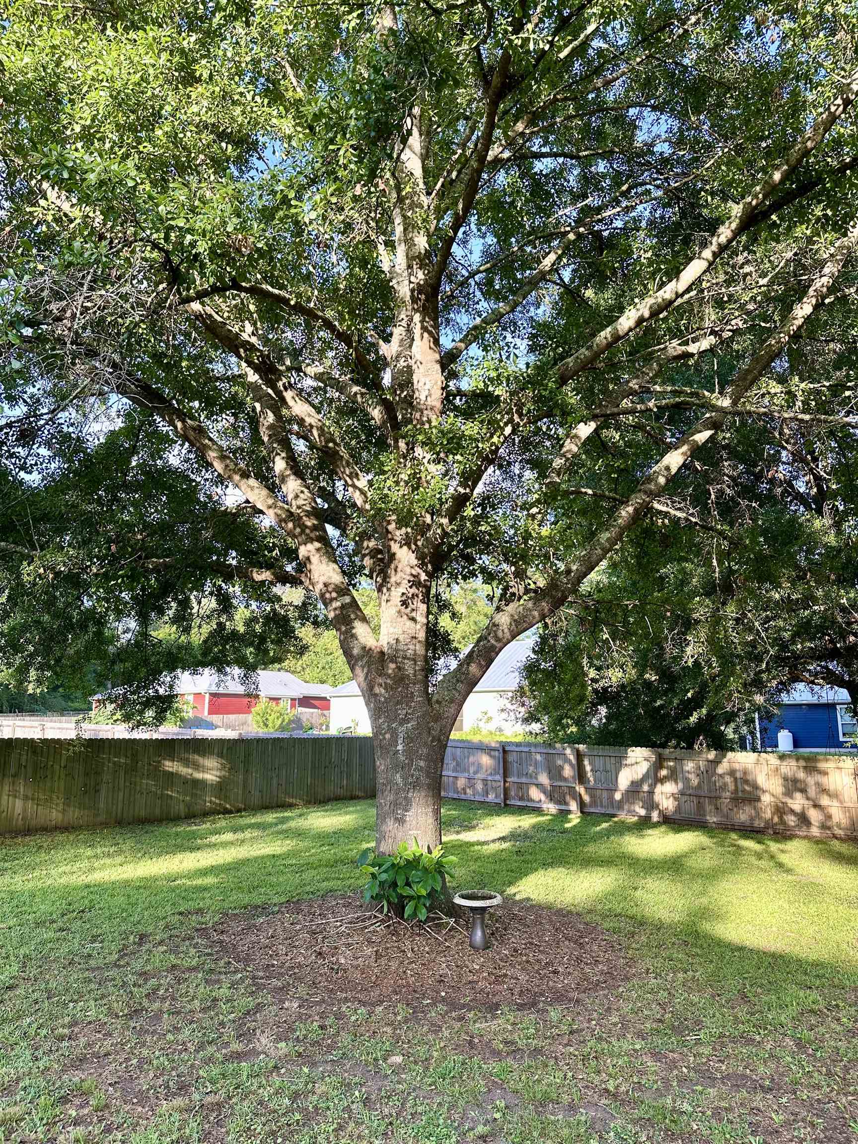 3646 Homestead Road Tallahassee, FL 32309 - Photo 8 of 42