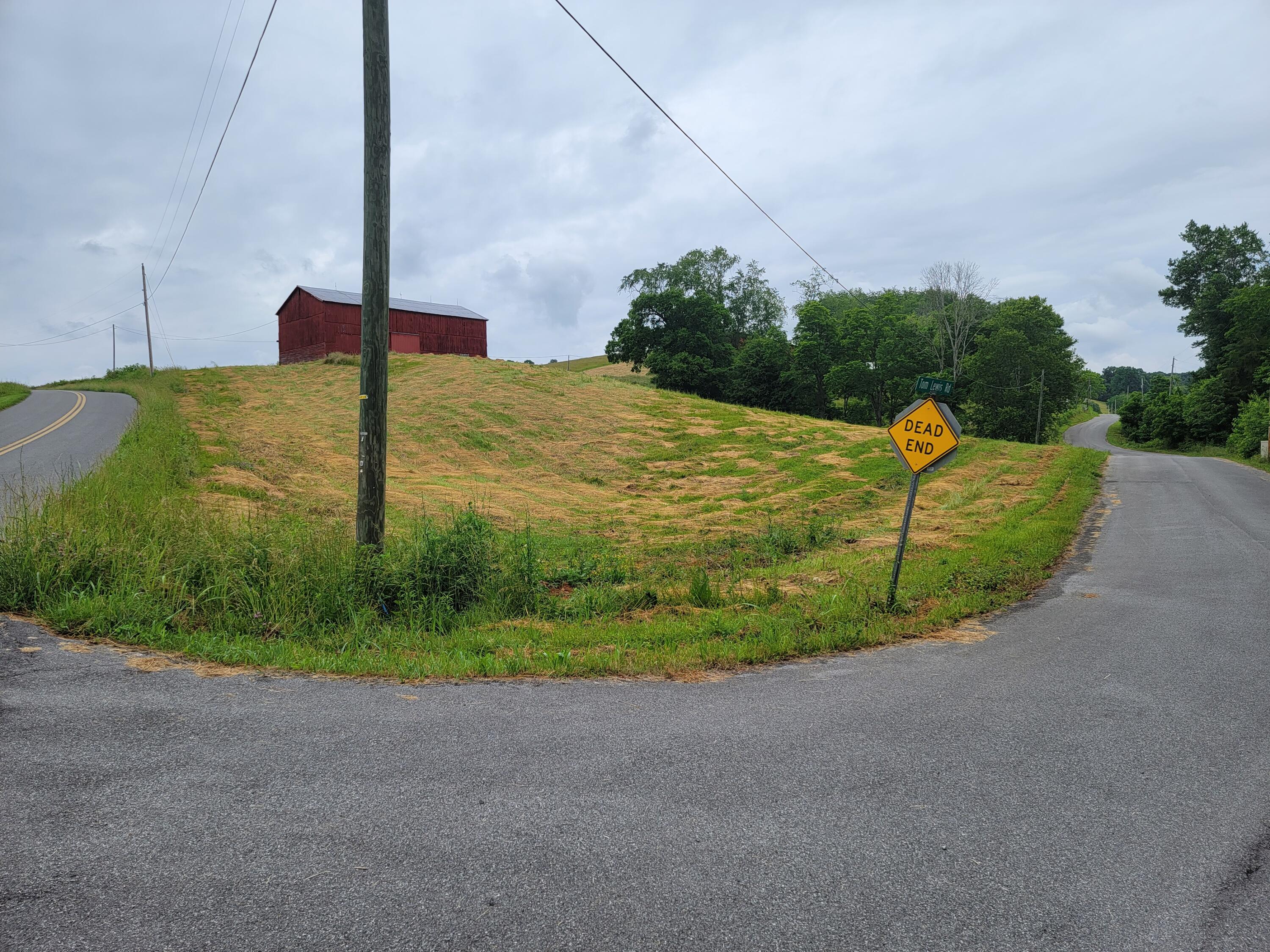 736 Providence Road, Unit 6 Limestone, TN 37681 - Photo 19 of 36 20220603_112234