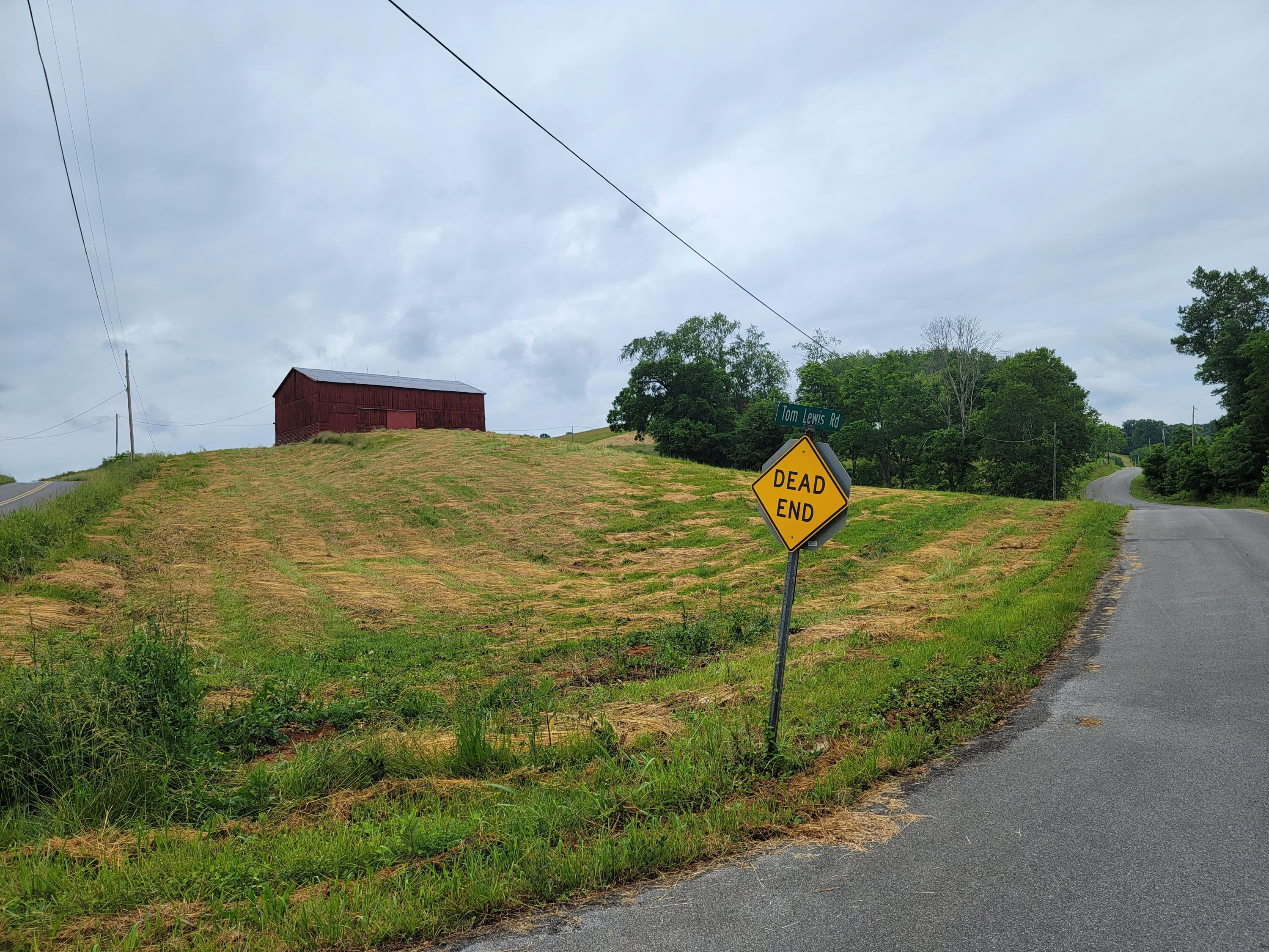 736 Providence Road, Unit 6 Limestone, TN 37681 - Photo 20 of 36 20220603_112242