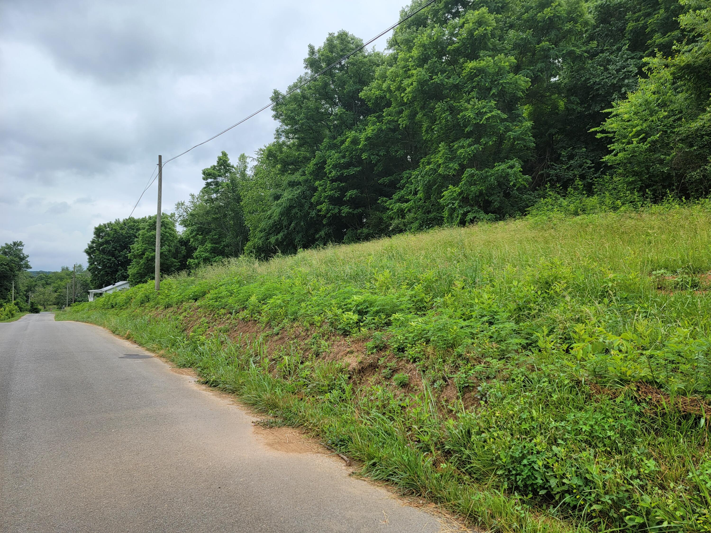 736 Providence Road, Unit 6 Limestone, TN 37681 - Photo 25 of 36 20220603_112630