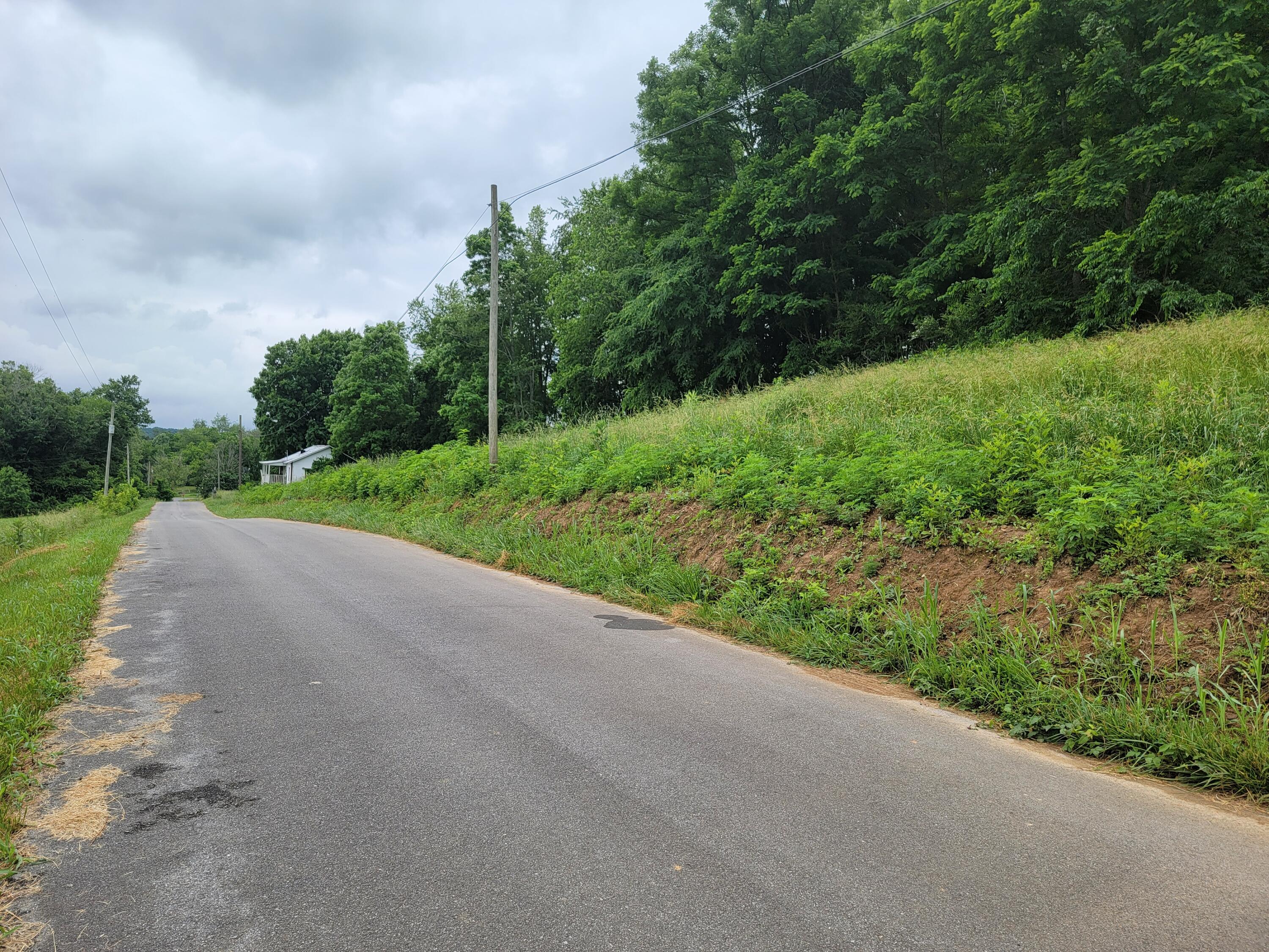 736 Providence Road, Unit 6 Limestone, TN 37681 - Photo 26 of 36 20220603_112640
