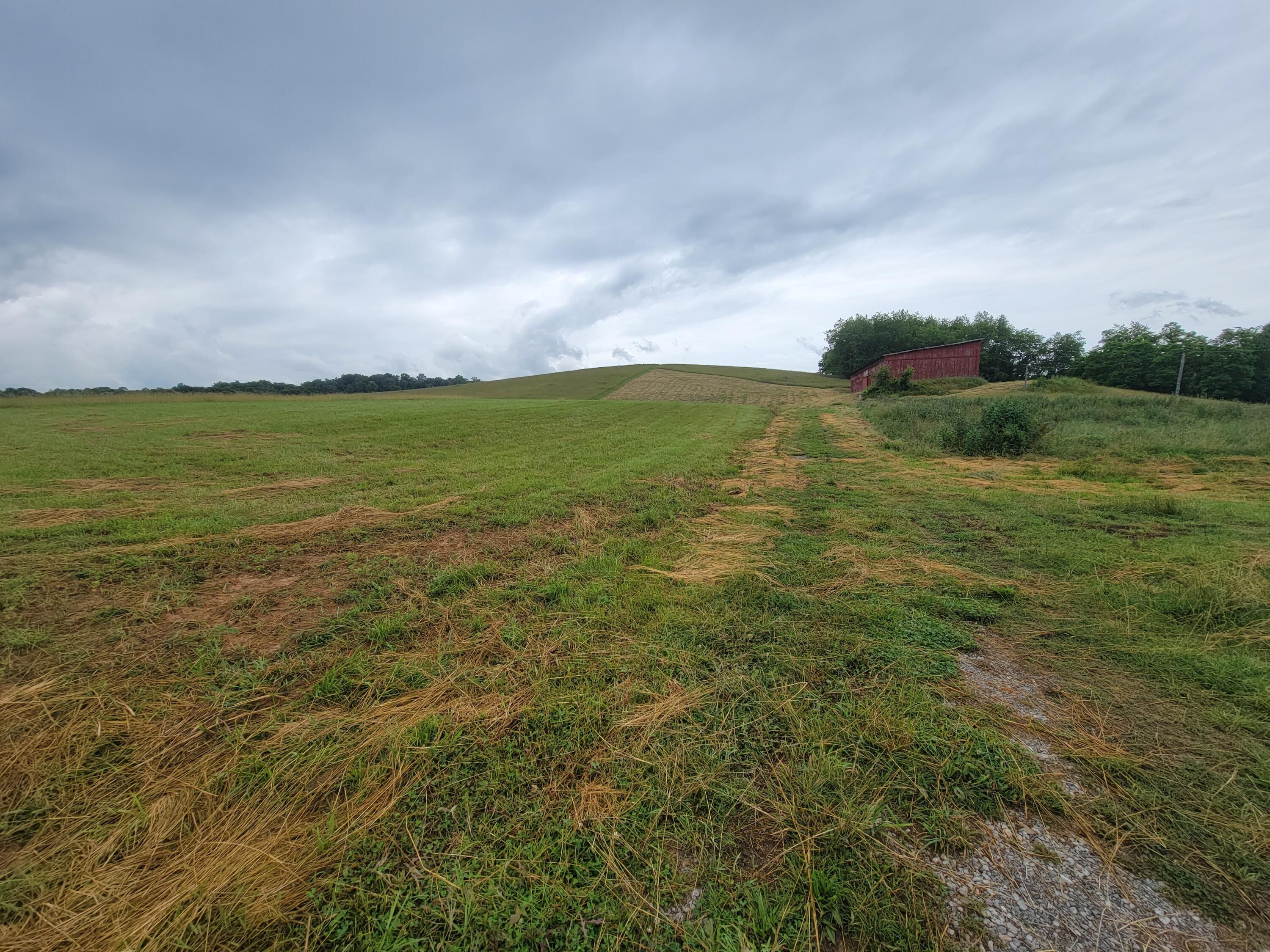736 Providence Road, Unit 6 Limestone, TN 37681 - Photo 3 of 36 20220603_105638