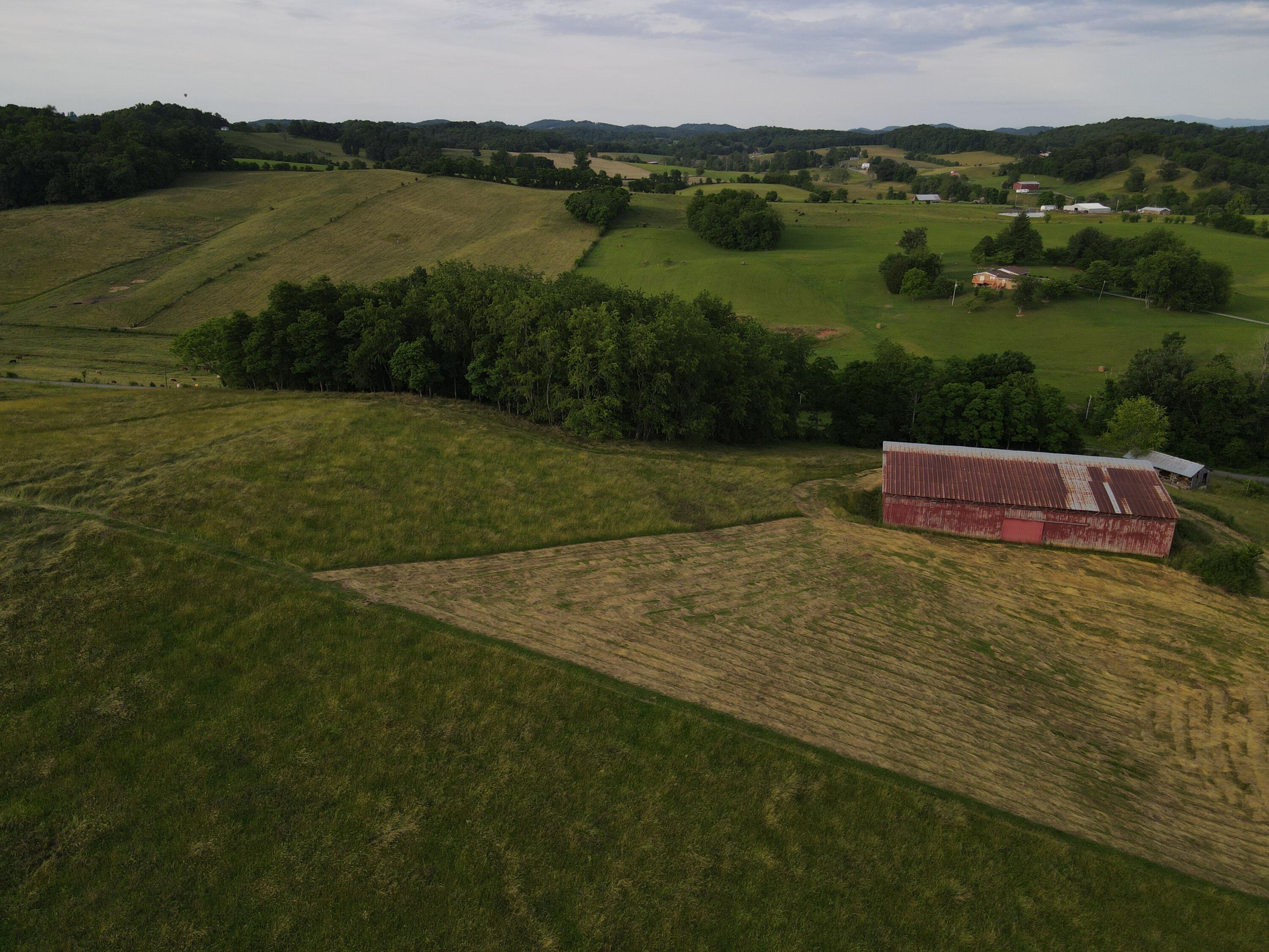 736 Providence Road, Unit 6 Limestone, TN 37681 - Photo 32 of 36 Aerial 6