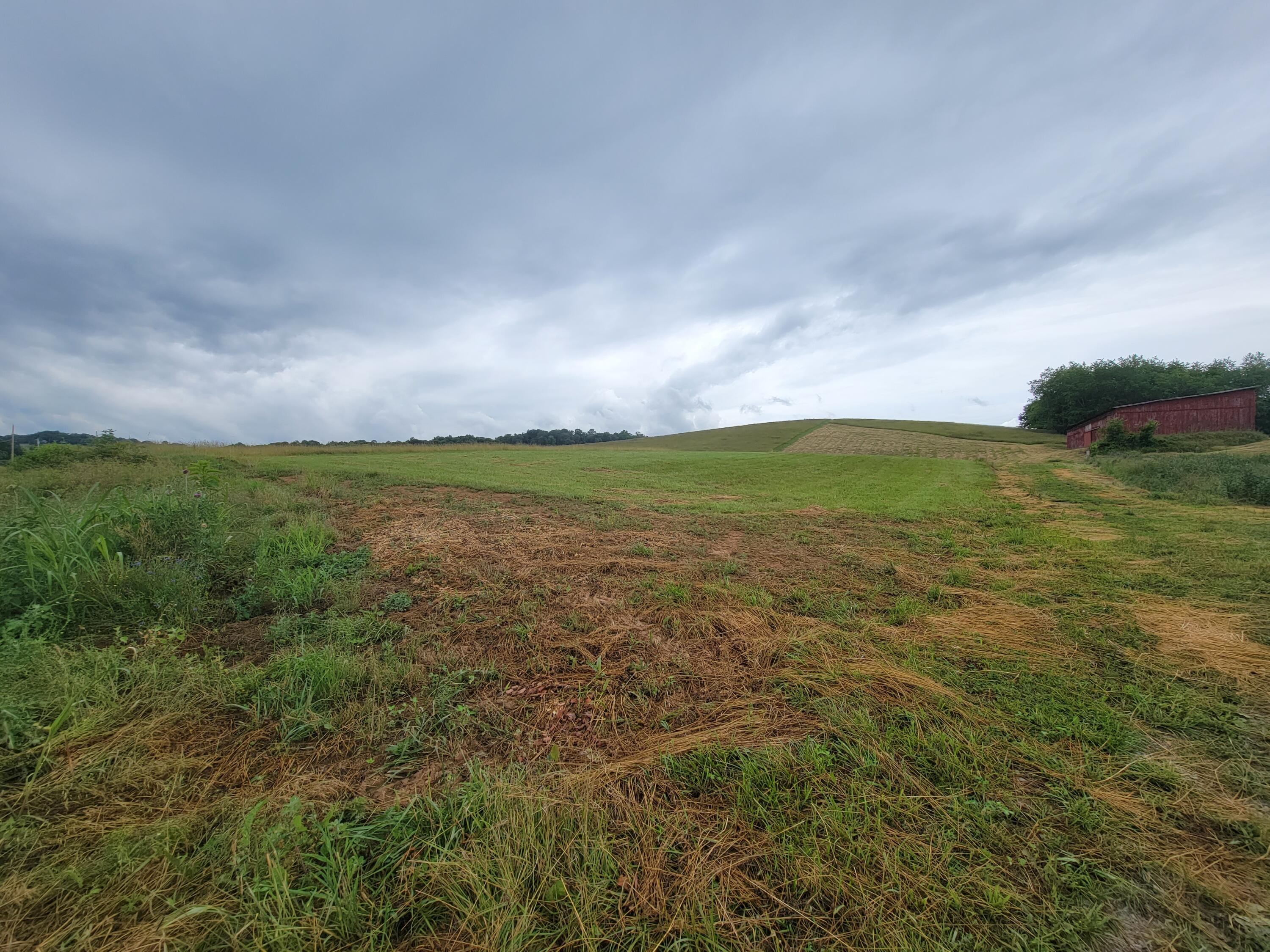 736 Providence Road, Unit 6 Limestone, TN 37681 - Photo 4 of 36 20220603_105718