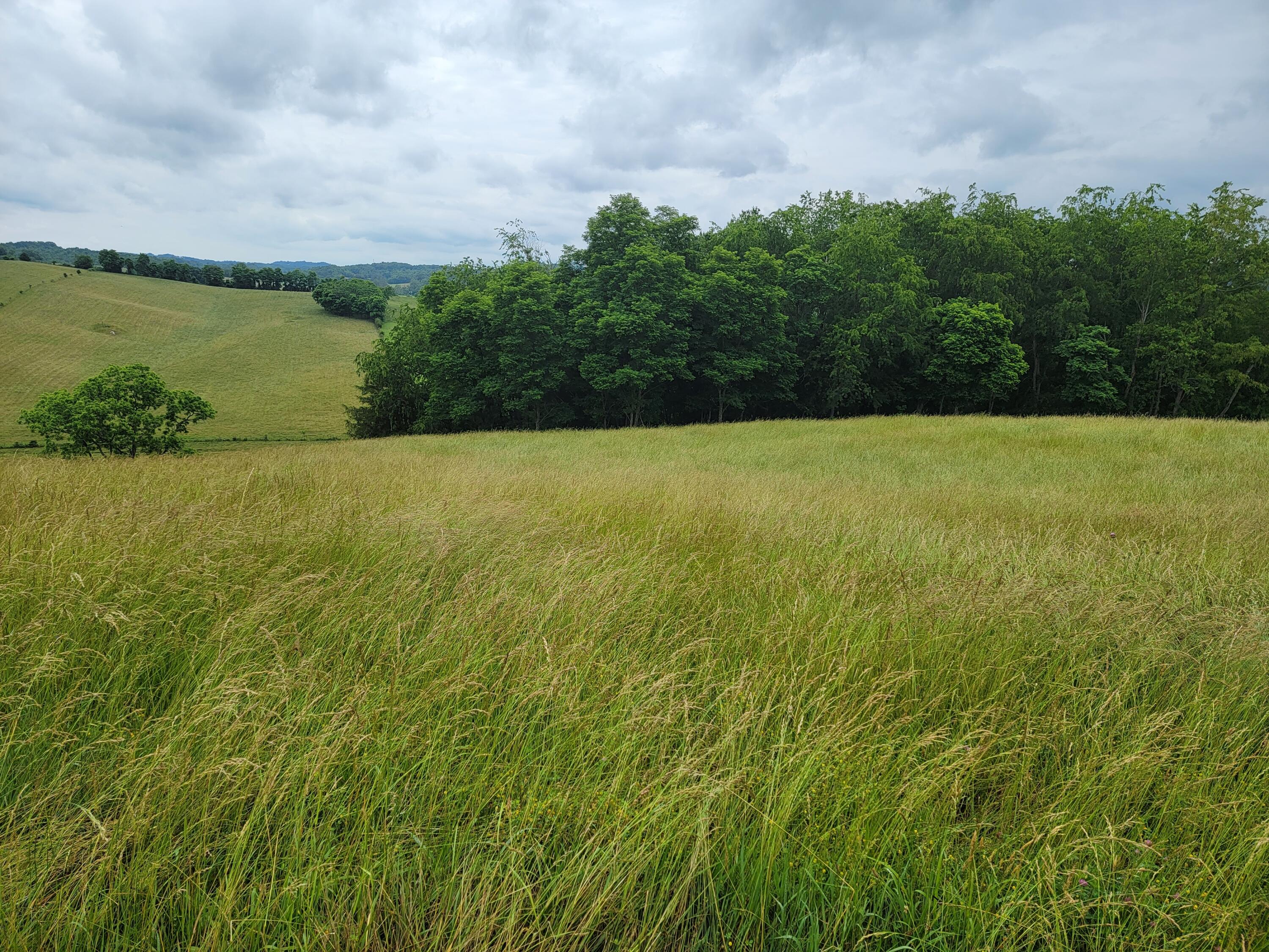 736 Providence Road, Unit 6 Limestone, TN 37681 - Photo 9 of 36 20220603_111411