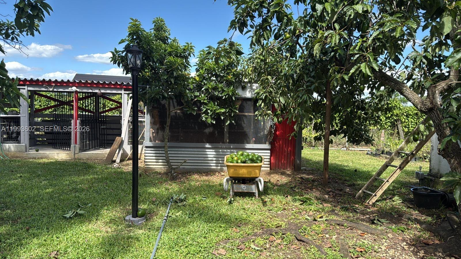 18441 Southwest 238th Street Homestead, FL 33031 - Photo 11 of 12 a backyard of a house with table and chairs