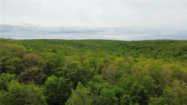 a view of a field with an ocean