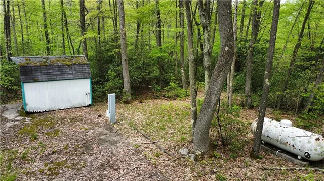 a view of a garden with plants