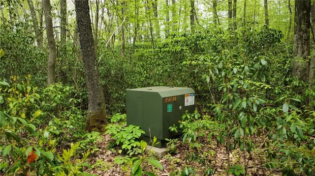 a view of outdoor space and trees