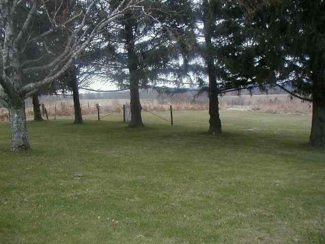 10406 Becker Road Savanna, IL 61074 - Photo 3 of 5 a view of yard with trees