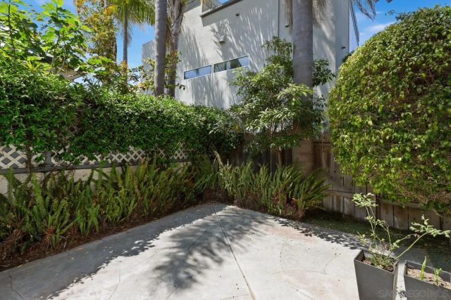 a view of a garden with plants