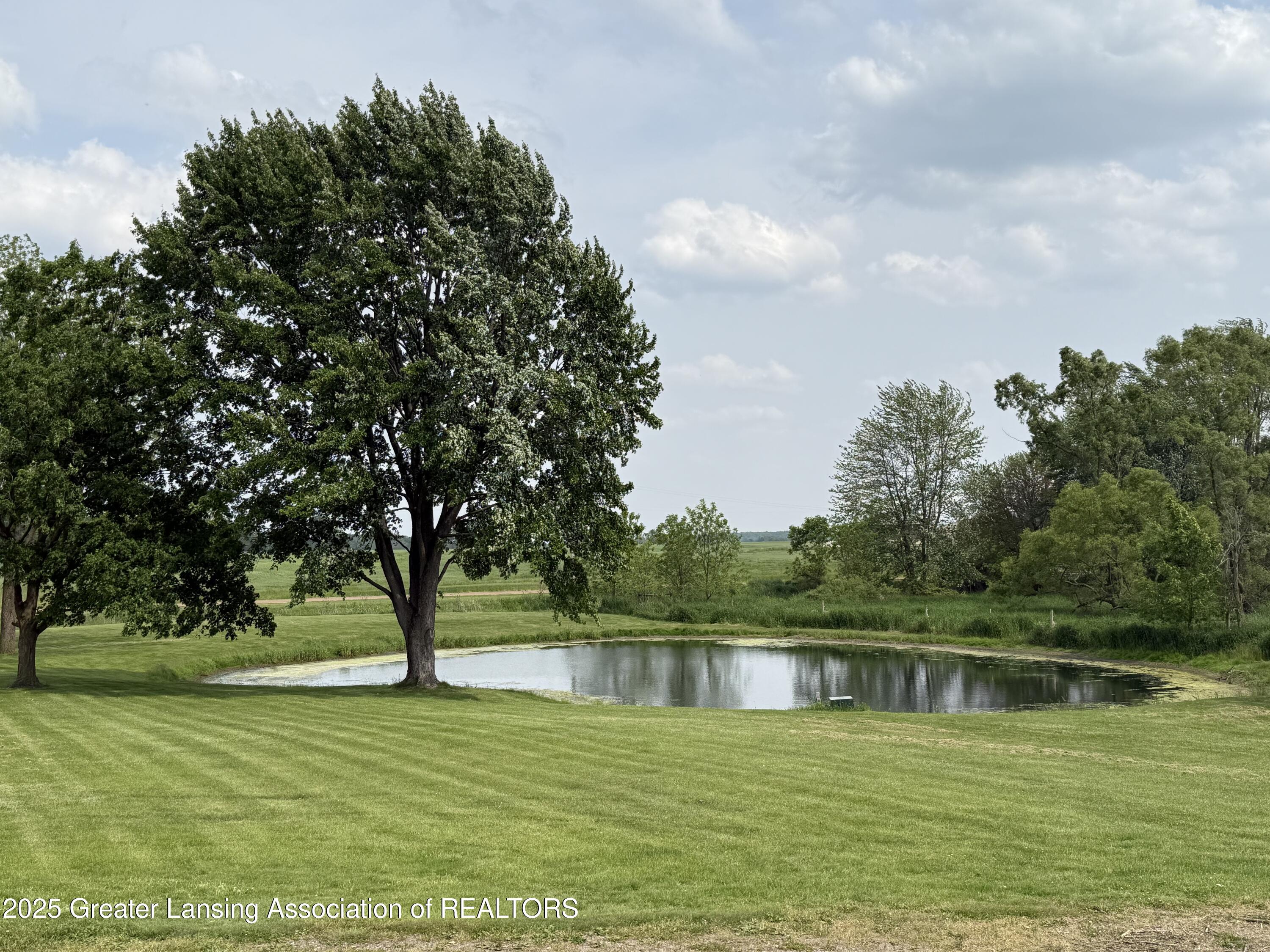 9216 South Grove Road Dewitt, MI 48820 - Photo 3 of 39 pond