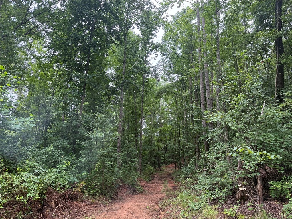 0 Lindsey Road Coosada, AL 36020 - Photo 11 of 31 Gallery Image 11
