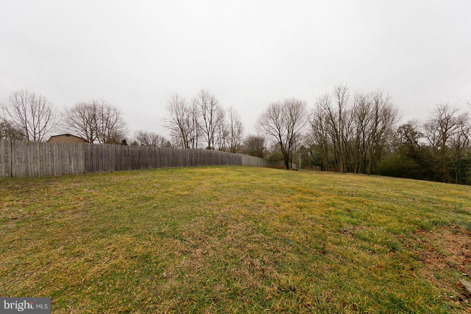 713 Rileyville Road Rileyville, VA 22650 - Photo 52 of 54 a view of pool and trees in the background