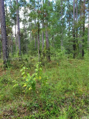 $49,900 | Tbd Tina Manker Road, Ridgeland, SC 29936