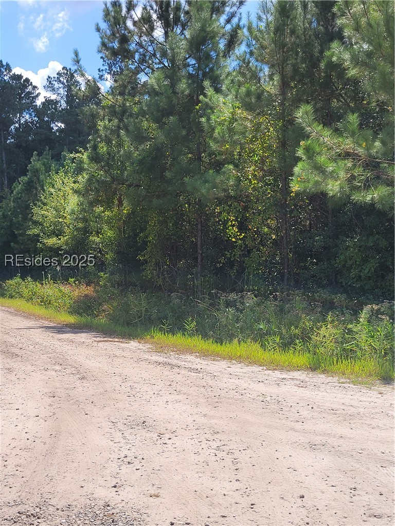 Tbd Tina Manker Road Ridgeland, SC 29936 - Photo 2 of 5