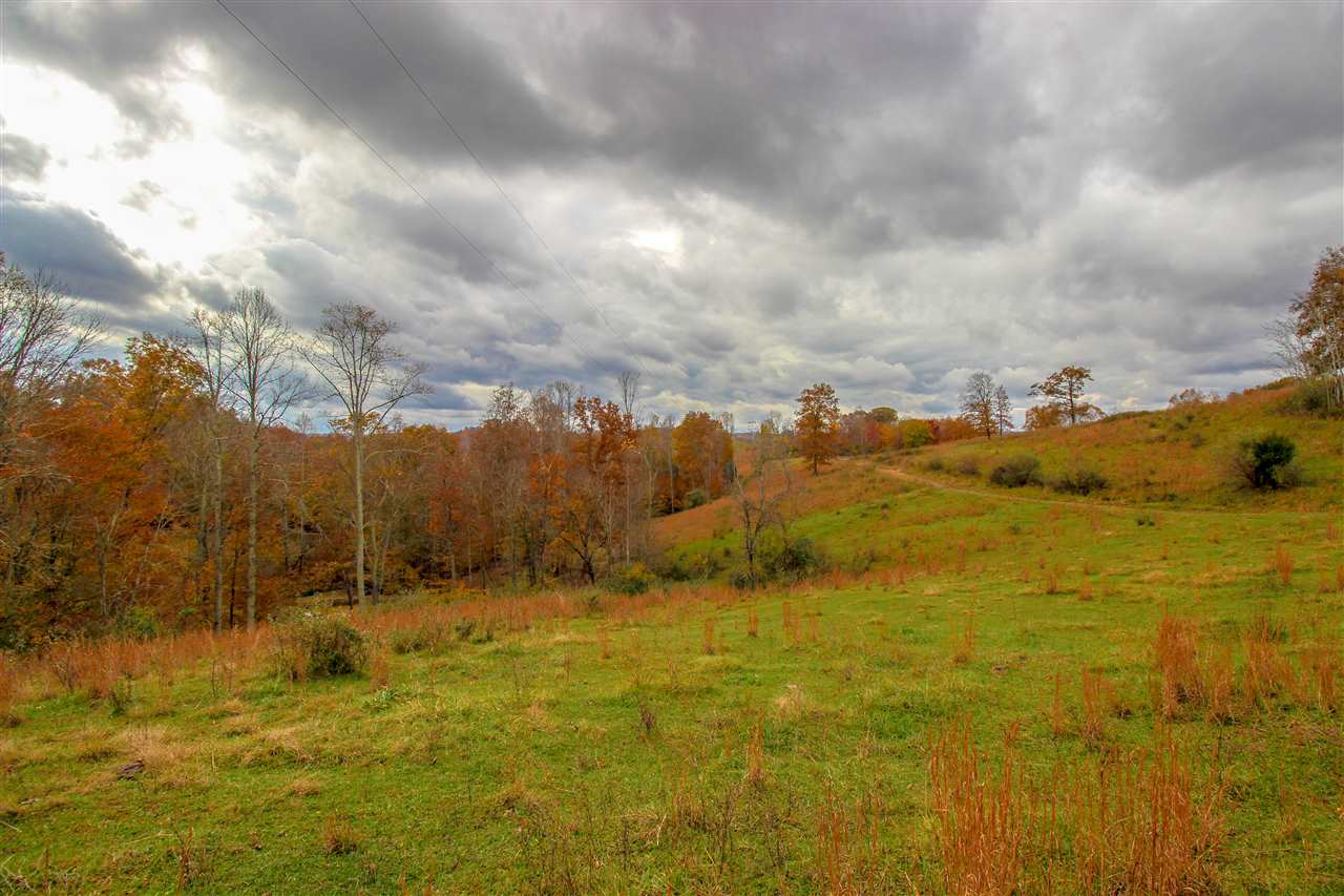251 Adkins Ridge Road Branchland, WV 25506 - Photo 14 of 17 Gallery Image 14