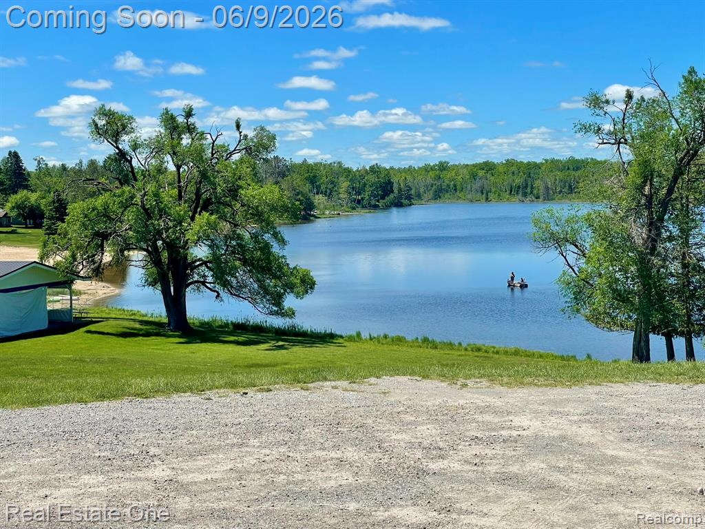 2596 Fox Road Lincoln, MI 48742 - Photo 44 of 54