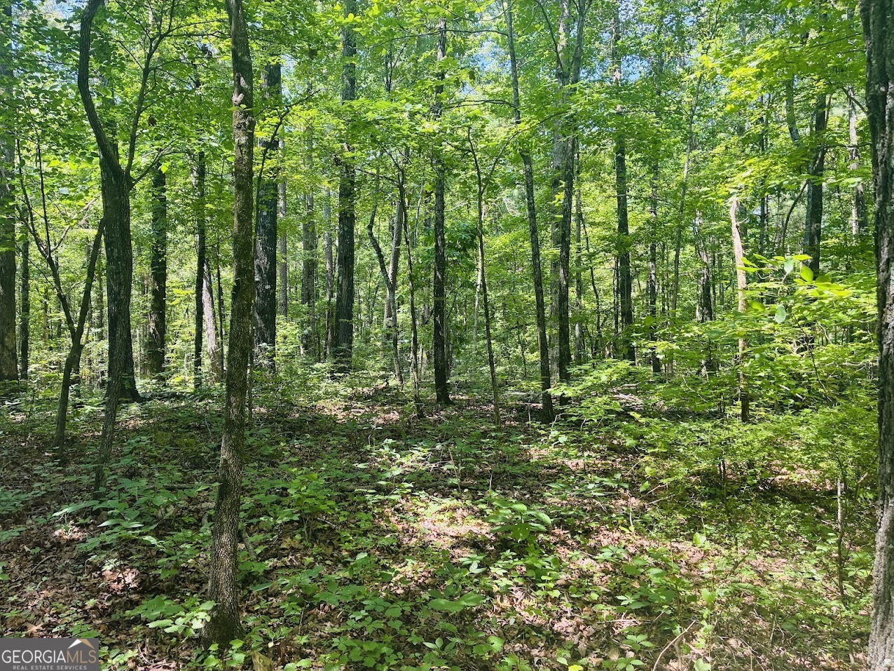 0 Forest Glen Road, Unit A Sylacauga, AL 35151 - Photo 23 of 34