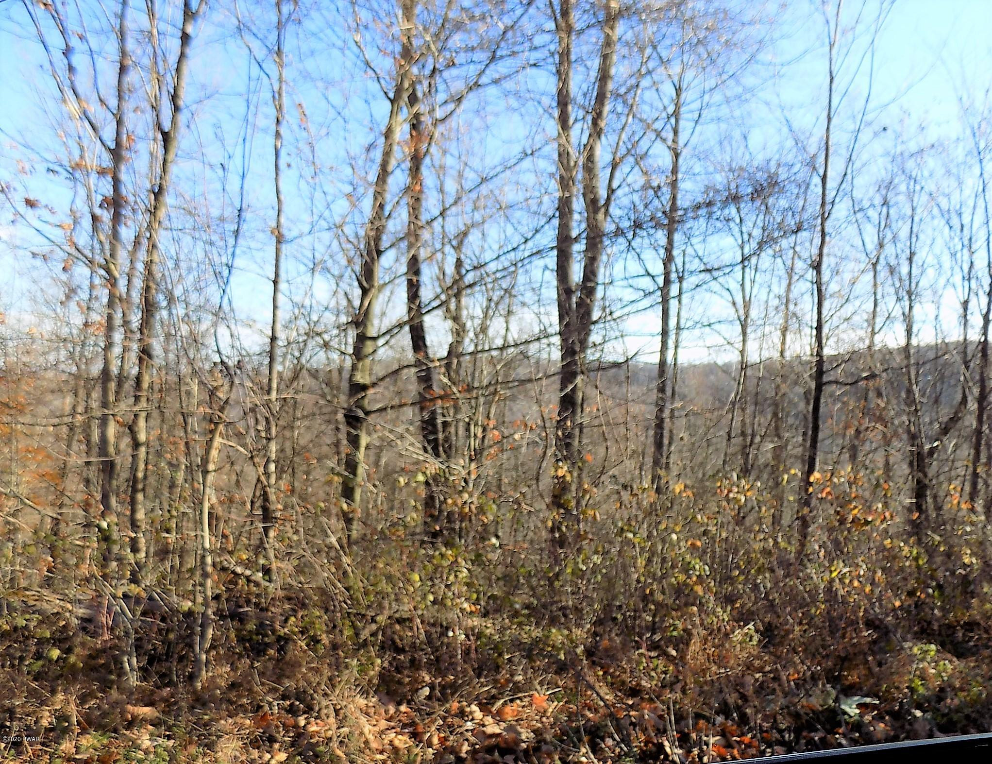 57-acres Sterling Road Newfoundland, PA 18445 - Photo 8 of 21