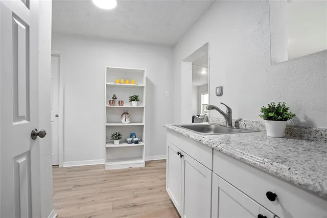 a bathroom with a granite countertop sink a potted plant and a mirror
