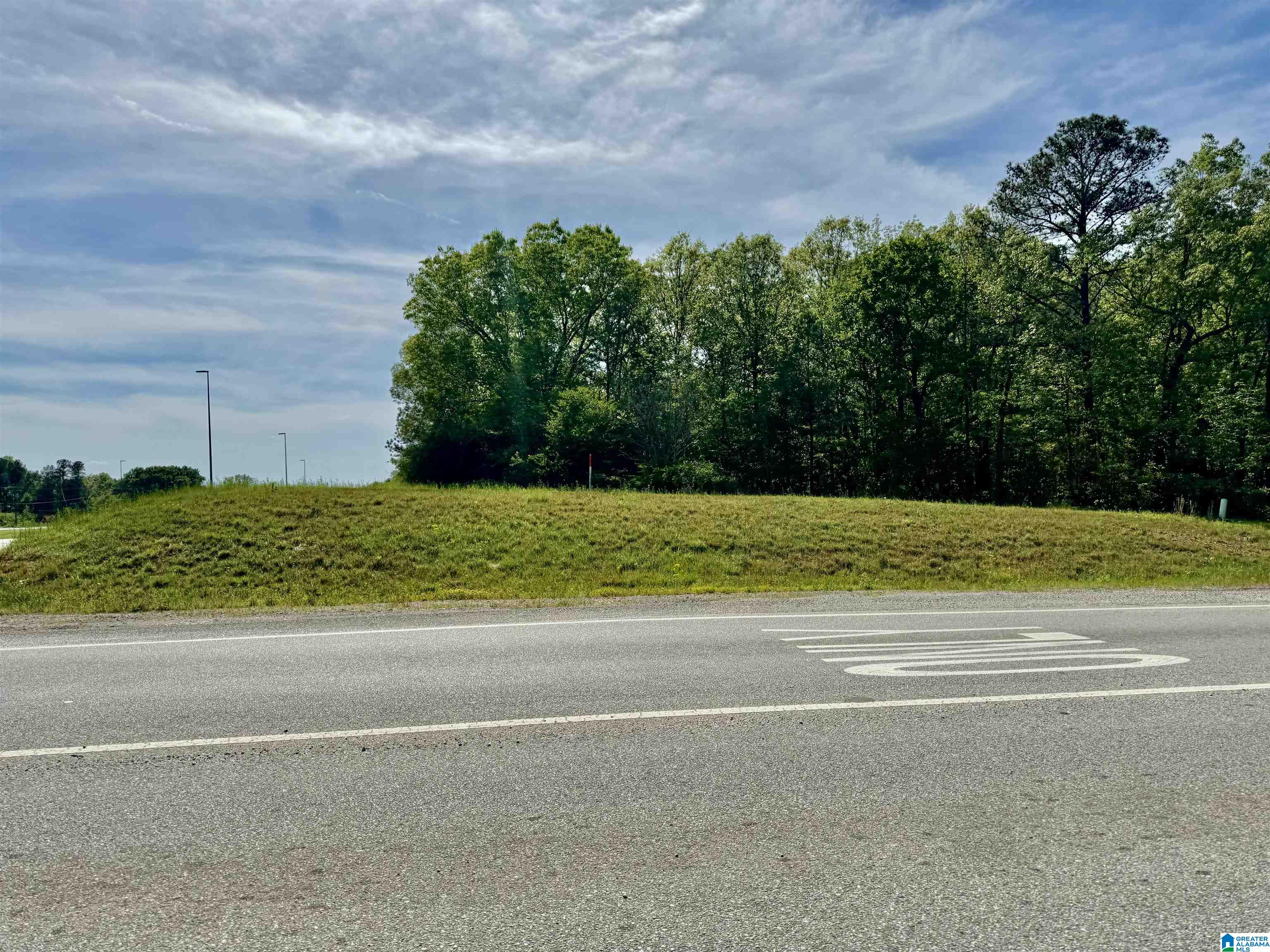 0 Coldwater Road Anniston, AL 36201 - Photo 19 of 25
