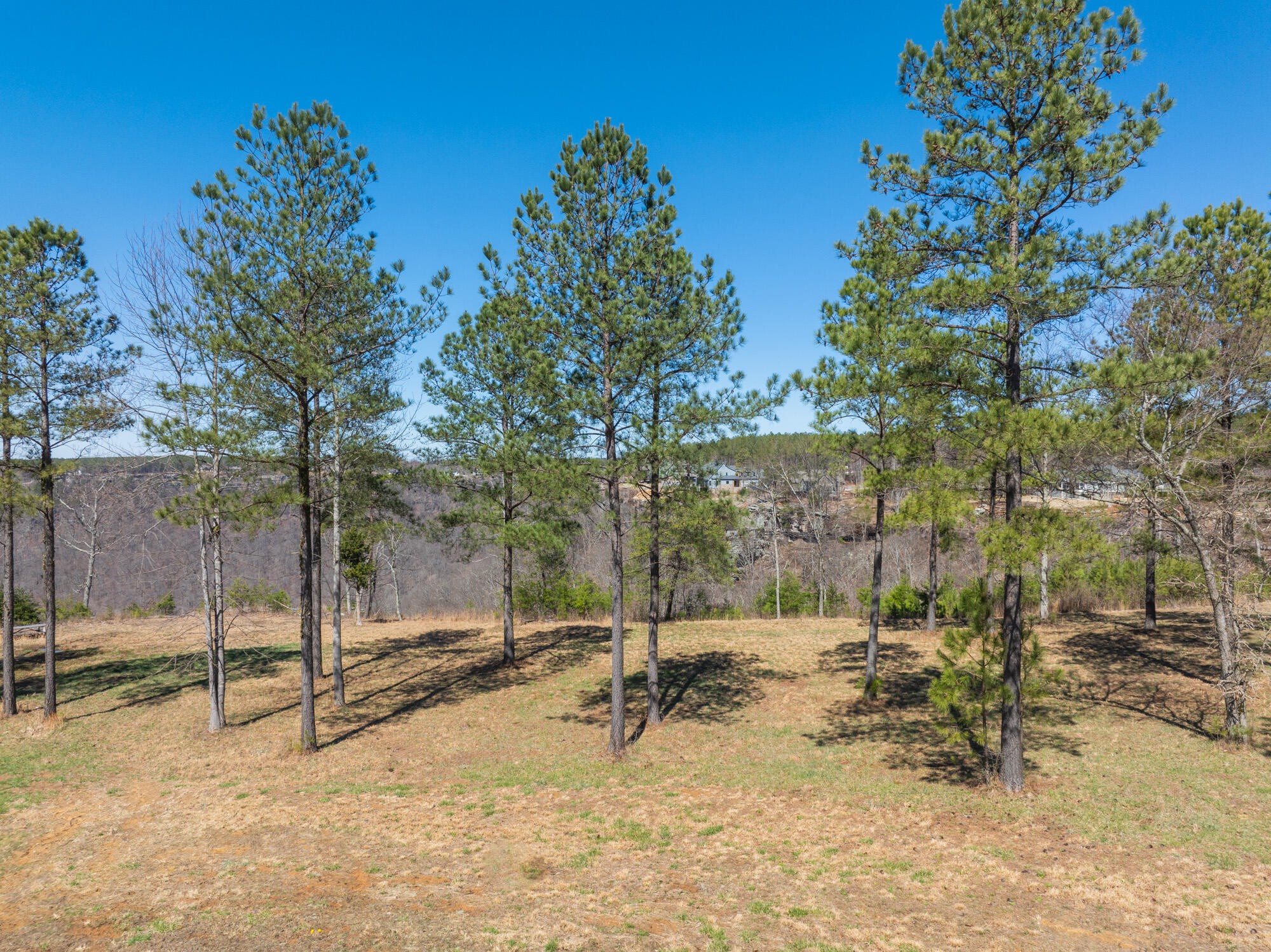 480 Pappy Road Jasper, TN 37347 - Photo 11 of 13