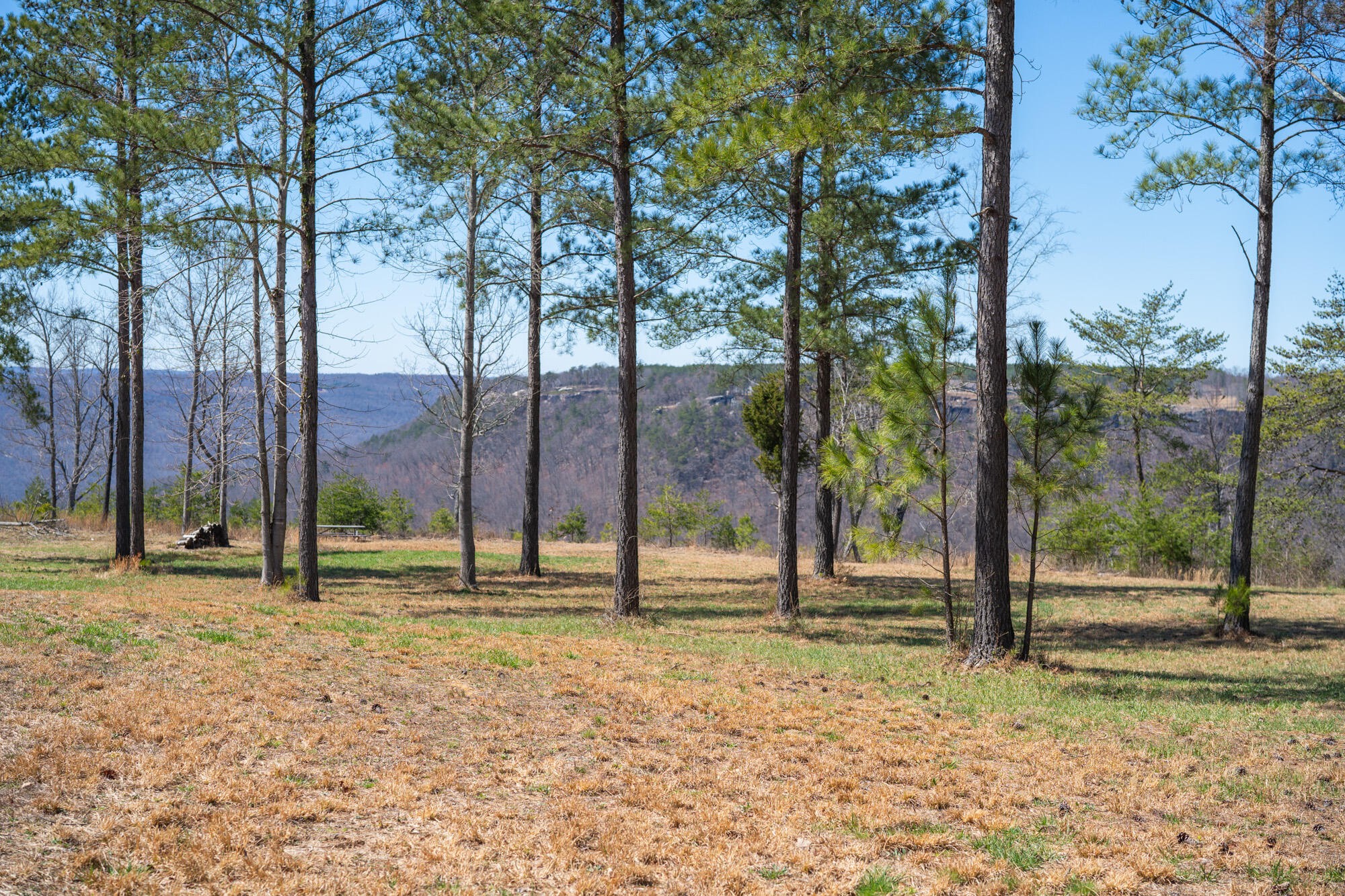 480 Pappy Road Jasper, TN 37347 - Photo 13 of 13