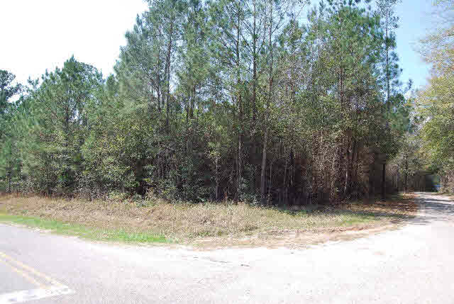 0 Williams Road Daphne, AL 36527 - Photo 1 of 4