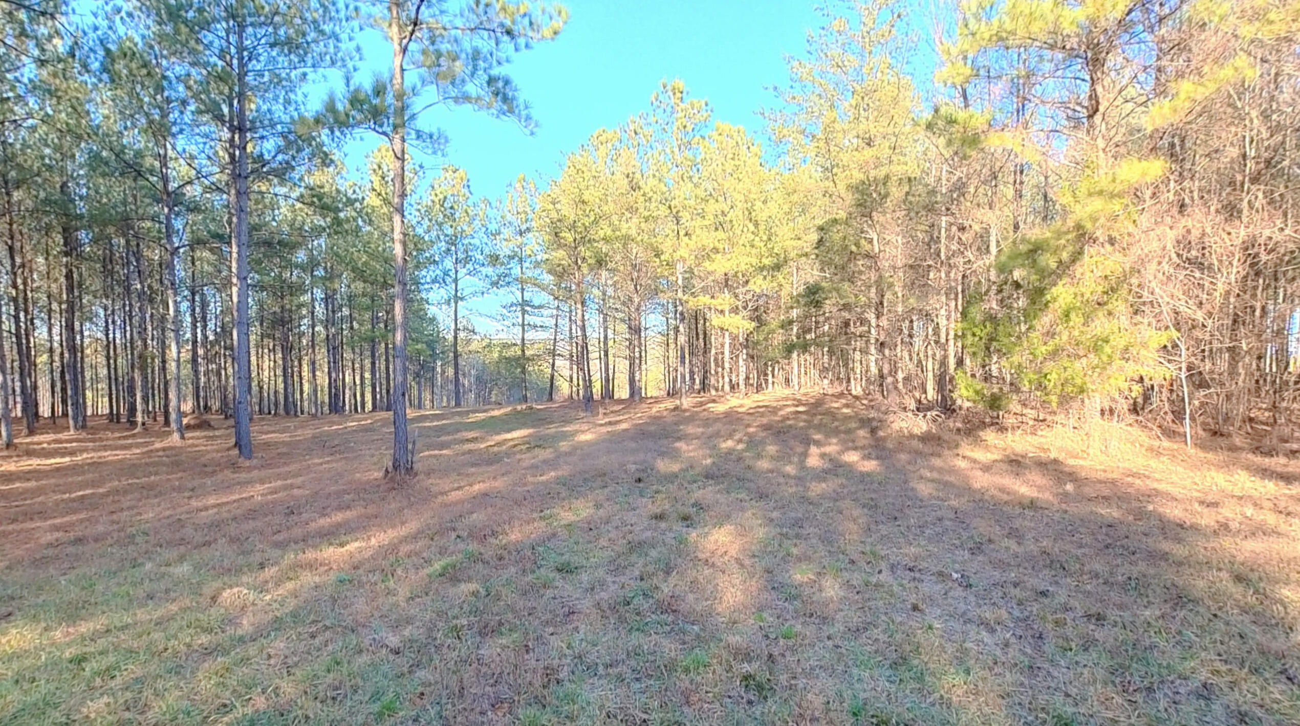 0 Three Gorges Road, Unit LOT 3 Soddy-Daisy, TN 37379 - Photo 6 of 21 LOT #3