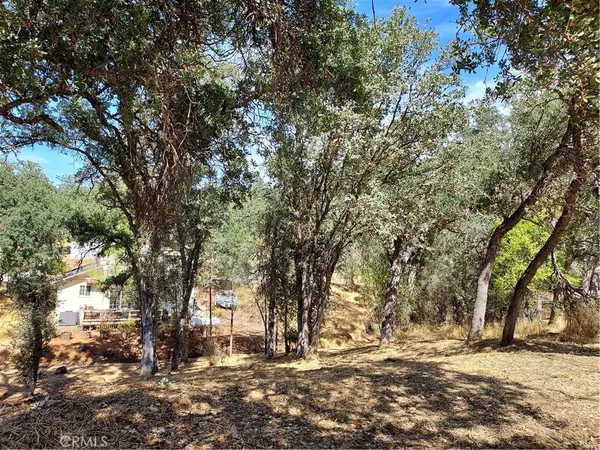 a view of outdoor space with trees