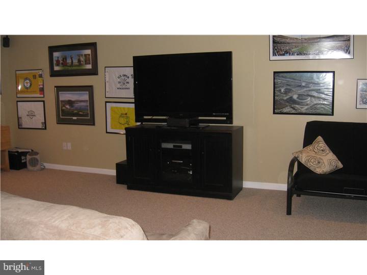 19 Thayer Road Birdsboro, PA 19508 - Photo 14 of 19 Media Room