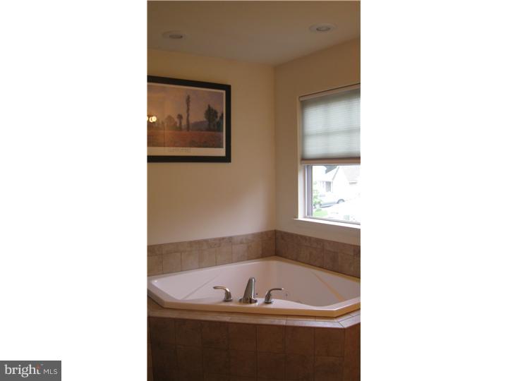 19 Thayer Road Birdsboro, PA 19508 - Photo 8 of 19 Master Bathroom