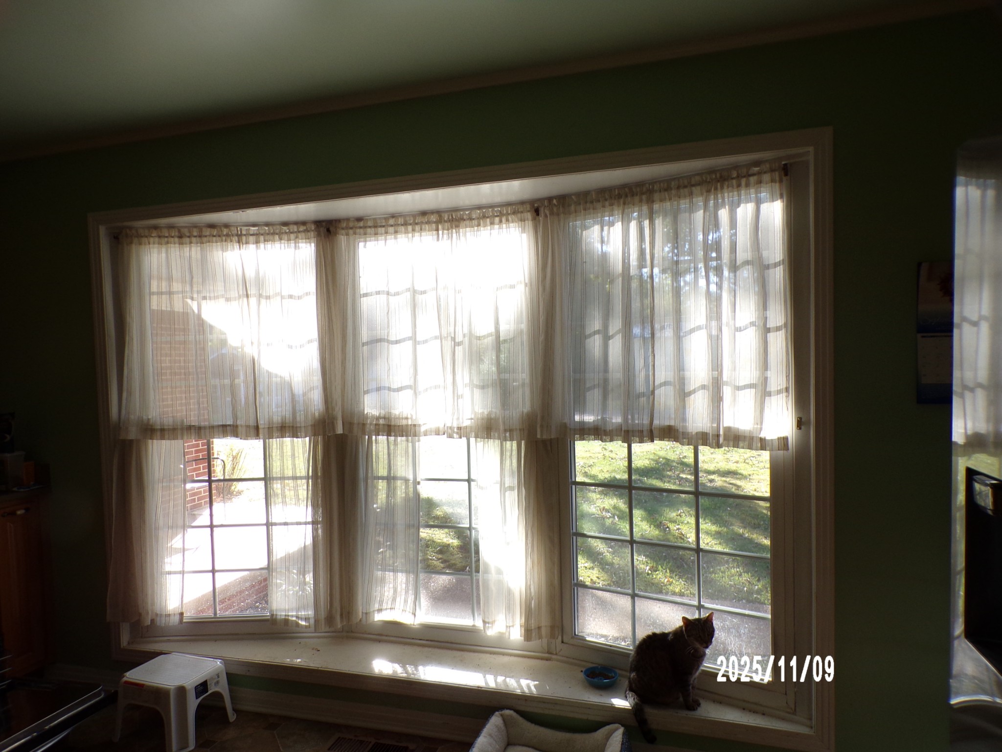 186 North Forrest Avenue Camden, TN 38320 - Photo 21 of 26 a view of an empty room with wooden floor and a window