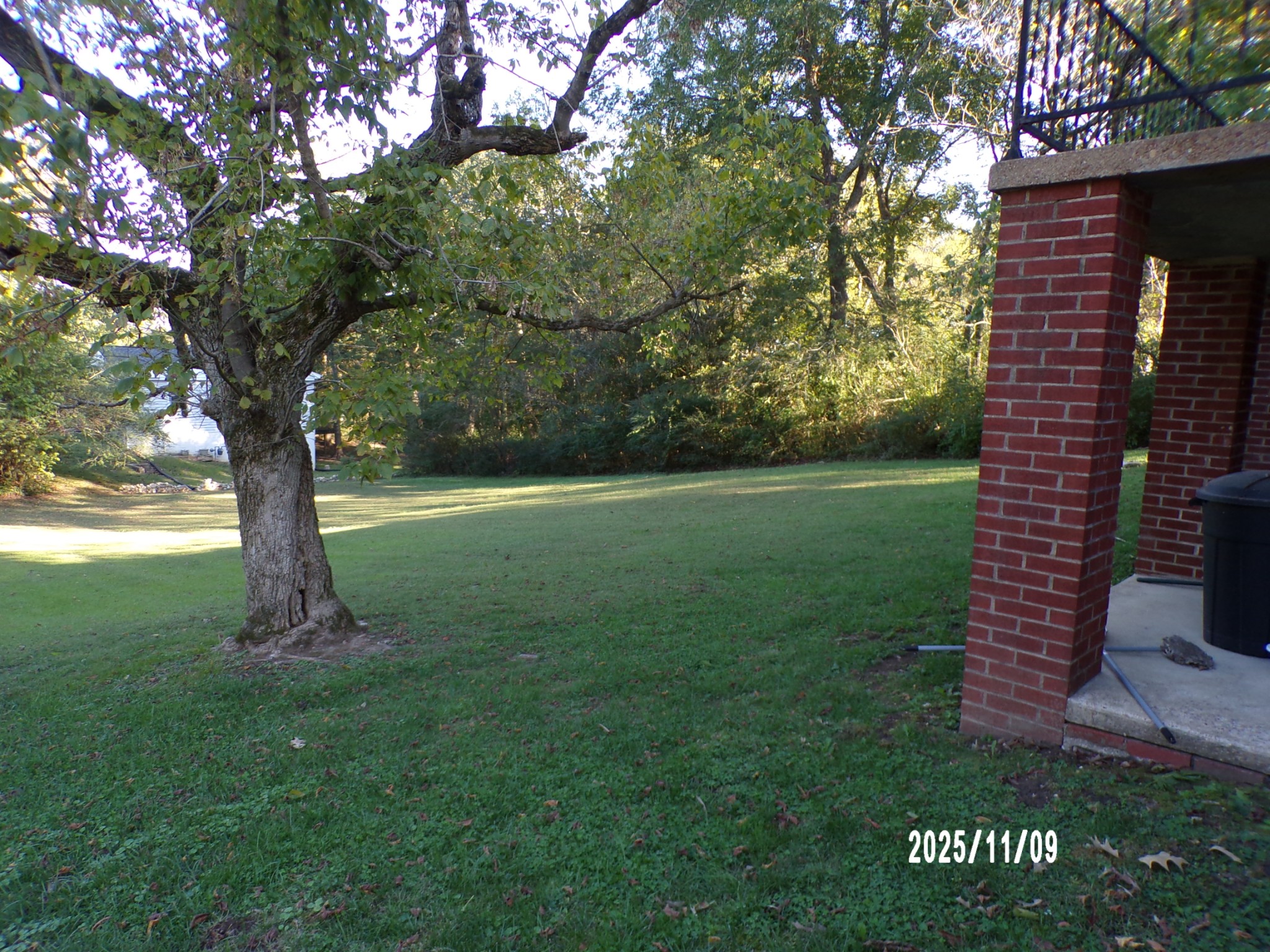 186 North Forrest Avenue Camden, TN 38320 - Photo 4 of 26 a view of a garden with a tree